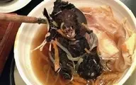 خفاش، موش، سوسک، سگ، قورباغه را ژاپنی ها وارد غذای چینی‌ها کردند؟