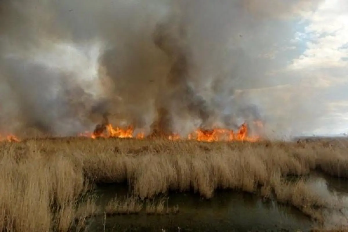 آتش سوزی در بخش عراقی هورالعظیم