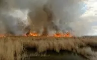 آتش سوزی در بخش عراقی هورالعظیم