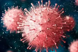 خبر بد کرونایی برای کشور | احتمال بروز پیک ششم