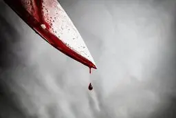 قتل یک متهم به کفرگویی پس از تبرئه در دادگاه توسط مامور پلیس در پاکستان
