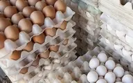 
قیمت هر شانه کاغذی تخم مرغ  ١۶ برابر شده است
