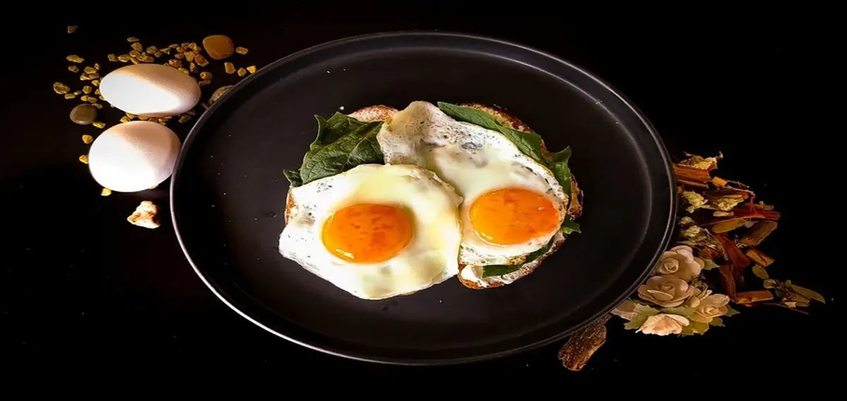 دلایلی که به شما خواهد گفت چرا تخم مرغ سالم ترین غذای دنیاست!
