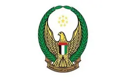 امارات پایان مأموریت یگان‌های خود در یمن را اعلام کرد
