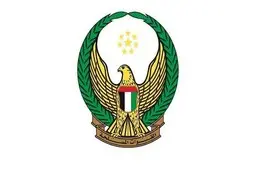 امارات پایان مأموریت یگان‌های خود در یمن را اعلام کرد
