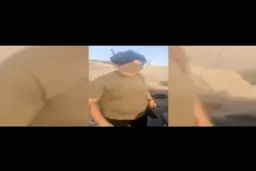 کشتار ۱۷ خرگوش به خاطر ‌کل‌کل دو شکارچی + ویدئو