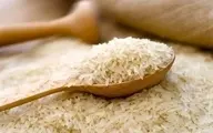 برنج ایرانی ارزان شد | قیمت برنج ایرانی  
