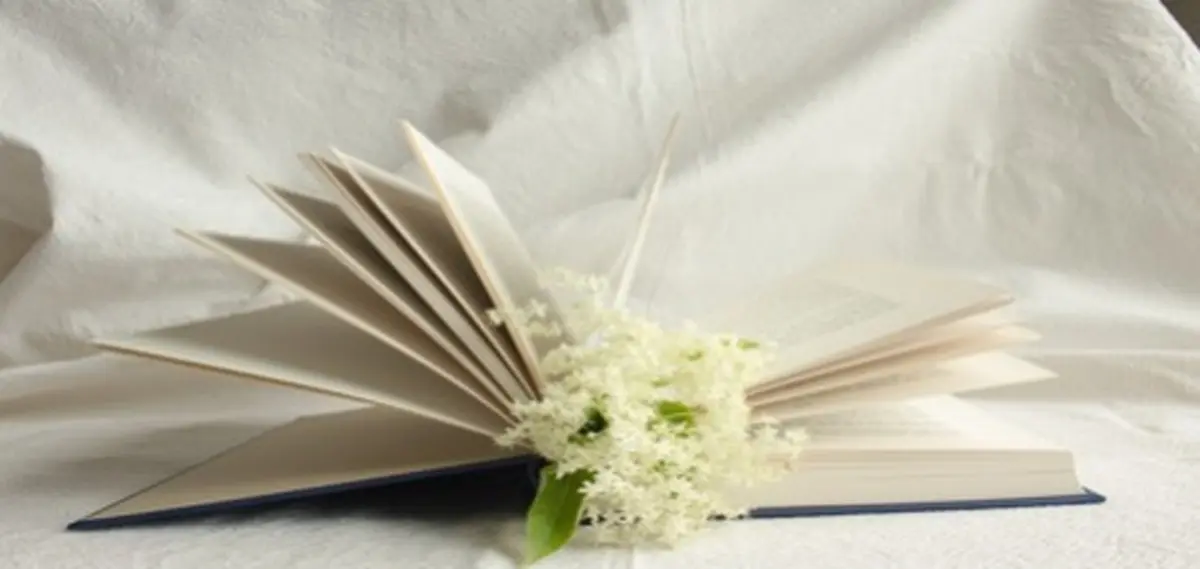   ماندگارترین اشعار در زبان فارسی 