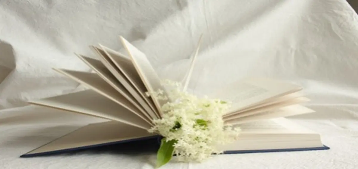   ماندگارترین اشعار در زبان فارسی 