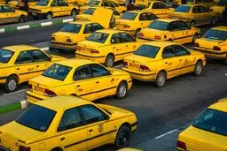رانندگان در اولویت سوم برای واکسیناسیون کرونا