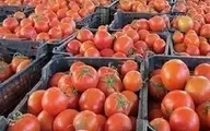 عراق چرا محموله صادراتی گوجه ایران را برگشت زد؟