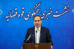 توضیحات سخنگوی قوه قضائیه در خصوص پرونده ساعدی نیا  | صرف عذرخواهی پرونده مختومه نمی شود