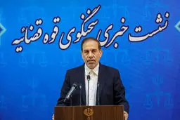 توضیحات سخنگوی قوه قضائیه در خصوص پرونده ساعدی نیا  | صرف عذرخواهی پرونده مختومه نمی شود