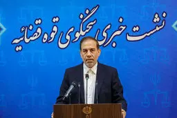 توضیحات سخنگوی قوه قضائیه در خصوص پرونده ساعدی نیا  | صرف عذرخواهی پرونده مختومه نمی شود