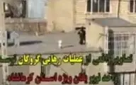 صحنه‌هایی واقعی از عملیات رهایی گروگان در شهرستان هرسین استان کرمانشاه+ویدئو