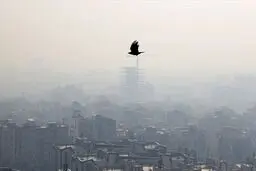 دلیل عمده ی آلودگی هوای تهران کشف شد! + ویدئو
