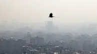 هشدار! در خانه بمانید | کیفیت هوای تهران در شرایط ناسالم است!