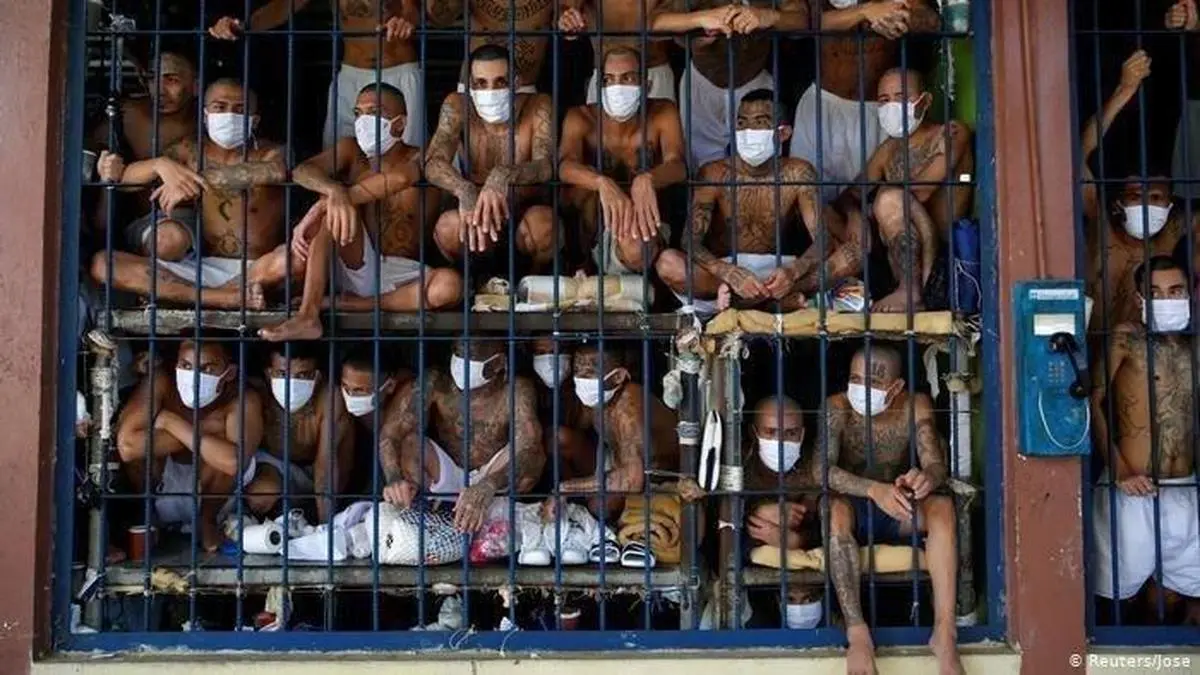  زندانیان در قوطی کنسرو