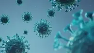 خبرهای تازه درباره‌ی ویروس کرونا