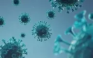 خبرهای تازه درباره‌ی ویروس کرونا