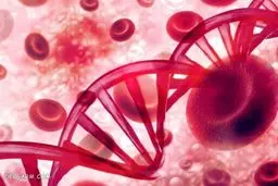 چای مناسب هر گروه خونی چیست؟ | اگر زیاد چای میخوری این مطلبو بخون!