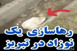 فیلم تلخ از نوزاد رهاشده تبریزی کنار سطل زباله + ویدئو