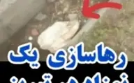 فیلم تلخ از نوزاد رهاشده تبریزی کنار سطل زباله + ویدئو