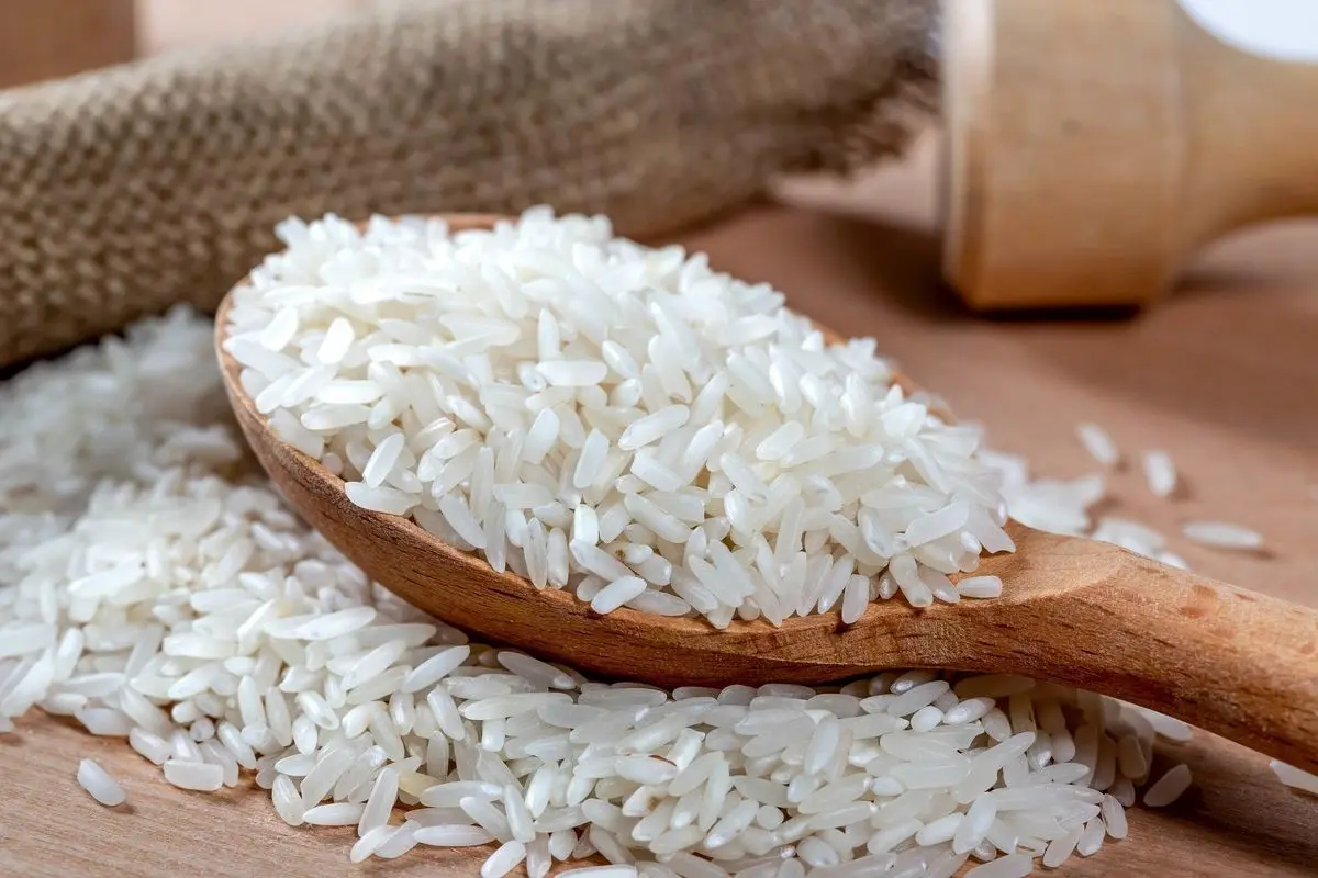 قیمت برنج ایرانی کیلویی چند؟ 