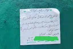 بازار عجیب رحم اجاره‌ای | قیمت‌ها تا ۹۰۰ میلیون هم می‌رسد! 