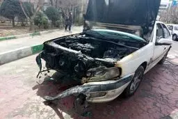 حادثه فاجعه بار در نیاوران | راننده خودرو بنز حادثه آفرید