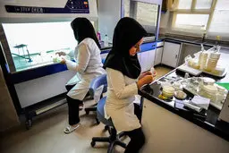 جهش فروش محصولات پارکهای فناوری|میزان اشتغال در واحدهای فناور