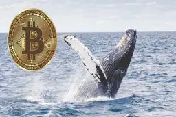 حجم بیت کوین ورودی به صرافی‌ها افزایش قابل توجهی یافت
