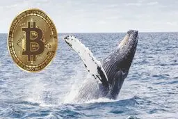 حجم بیت کوین ورودی به صرافی‌ها افزایش قابل توجهی یافت