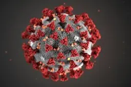 هجوم مسافران به گیلان و شیوع دوباره کرونا 