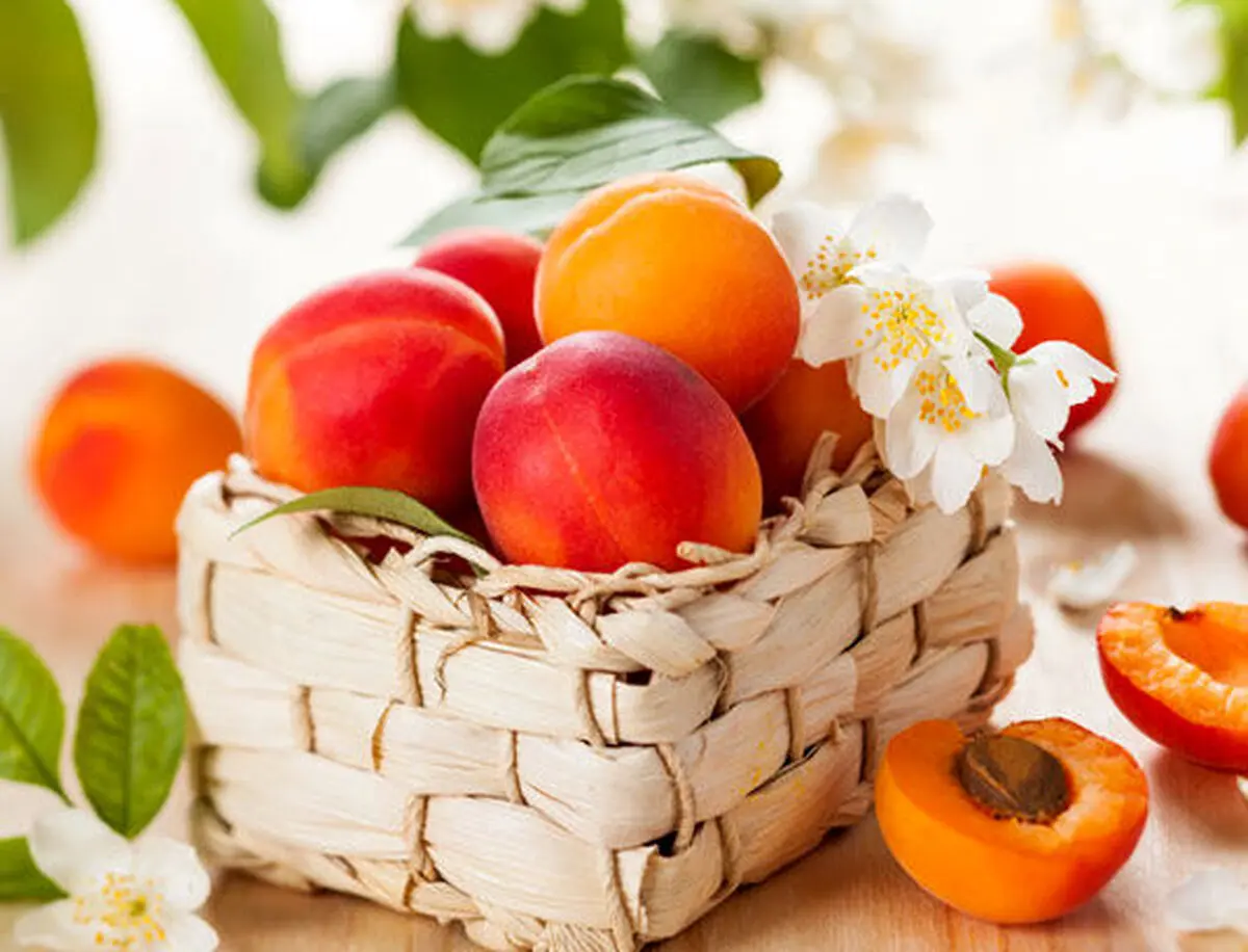 فواید باورنکردنی میوه هلو برای سلامتی بدن