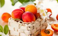 فواید باورنکردنی میوه هلو برای سلامتی بدن