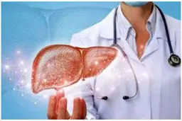  عوامل بسیار خطرناک برای کبد را بشناسید | حتما این مطلب را بخوانید