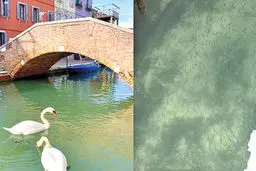 کره زمین پس از «کرونا»
