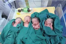 به مادران چهارقلوهای متولد۱۴۰۰ زمین تعلق می گیرد 