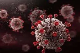  علائم شایع نوع جدید ویروس کروناچیست؟ 