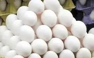 آغاز صادرات تخم‌مرغ | خبرهای مهم از بازار تخم مرغ 