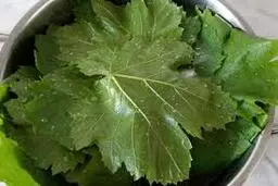 با این روش برای هر فصل برگ دلمه داری | طرز تهیه برگ دلمه خانگی +ویدئو