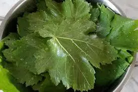 با این روش برای هر فصل برگ دلمه داری | طرز تهیه برگ دلمه خانگی +ویدئو
