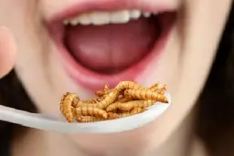 انتقاد های گسترده مردم باعث حذف خبر صداوسیما شد!