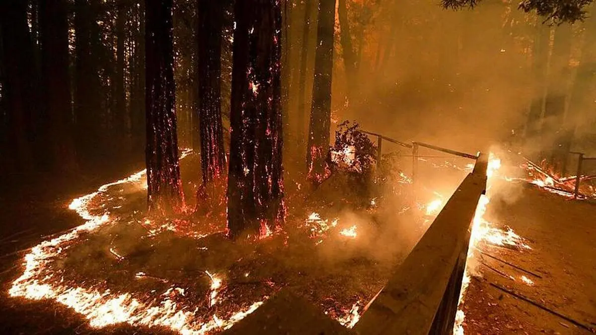 آتش‌سوزی گسترده در کالیفرنیا صدها واحد مسکونی را تخریب کرد