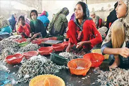 برده داری مدرن | رشد آمار کودکان کار دنیا