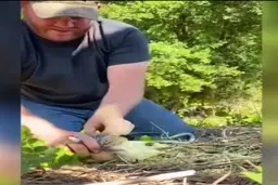  لحظه نجات جان عقاب از چنگال مار + ویدئو