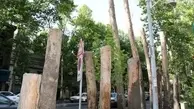 
درختان خیابان ولیعصر(عج) دچار شوک حرارتی شده‌اند
