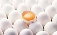 آیا کلسترول موجود در تخم مرغ برای سلامتی مضر است؟ 