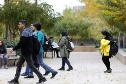 
معاون وزیر علوم: دانشجویان ورودی جدید از بهمن‌ماه کلاس‌های درس می‌روند
